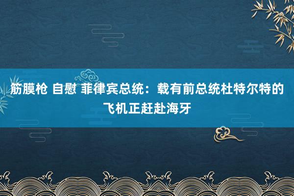 筋膜枪 自慰 菲律宾总统：载有前总统杜特尔特的飞机正赶赴海牙