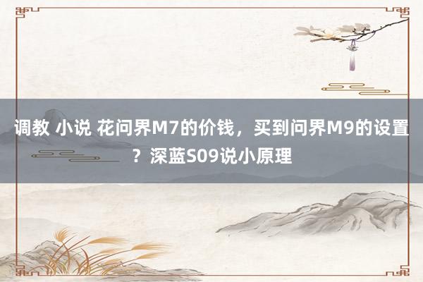 调教 小说 花问界M7的价钱，买到问界M9的设置？深蓝S09说小原理