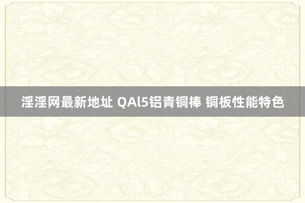 淫淫网最新地址 QAl5铝青铜棒 铜板性能特色