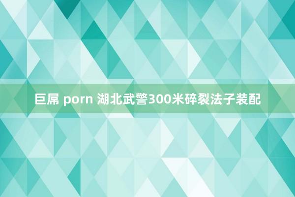 巨屌 porn 湖北武警300米碎裂法子装配