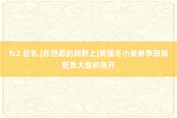 fc2 巨乳 [在但愿的郊野上]我国冬小麦春季田间贬责大面积张开