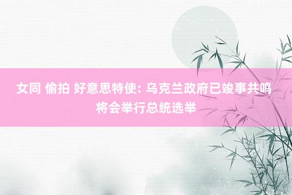 女同 偷拍 好意思特使: 乌克兰政府已竣事共鸣 将会举行总统选举