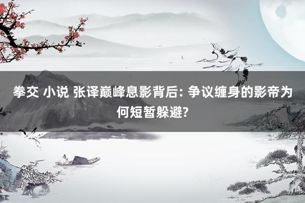拳交 小说 张译巅峰息影背后: 争议缠身的影帝为何短暂躲避?