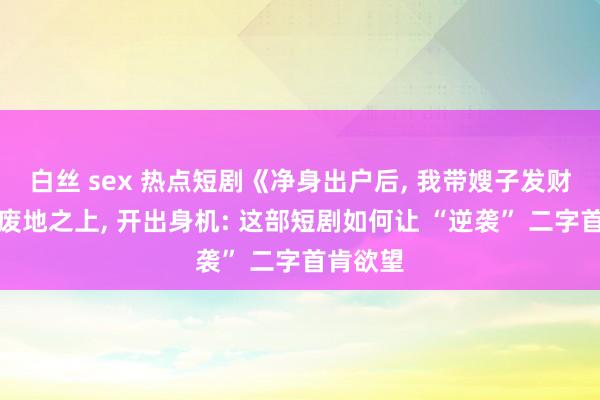 白丝 sex 热点短剧《净身出户后， 我带嫂子发财致富》废地之上， 开出身机: 这部短剧如何让 “逆袭” 二字首肯欲望