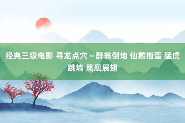 经典三级电影 寻龙点穴～醉翁倒地 仙鹅抱蛋 猛虎跳墙 凤凰展翅