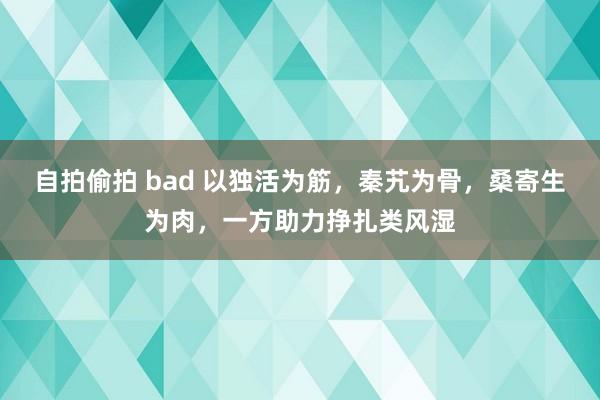 自拍偷拍 bad 以独活为筋，秦艽为骨，桑寄生为肉，一方助力挣扎类风湿