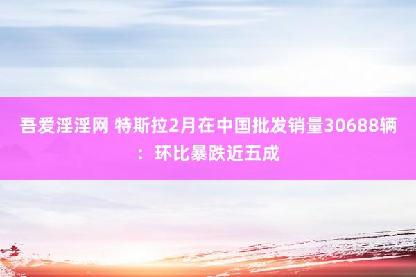 吾爱淫淫网 特斯拉2月在中国批发销量30688辆：环比暴跌近五成